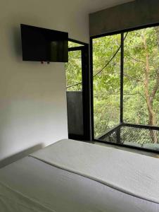Inti Studio - Santa Teresa