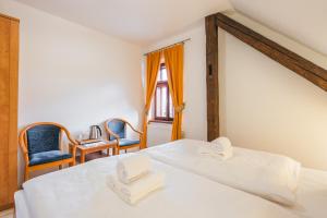 Double or Twin Room room in Pension Labyrint