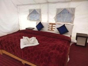 Northern Valley Camp - Nubra