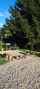 Tiny House Valea Avrigului