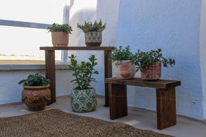 MAJA Ostuni Centro - Luxury Apartment