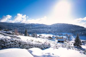 Chalets Chalet : Secteur Gerardmer. : photos des chambres