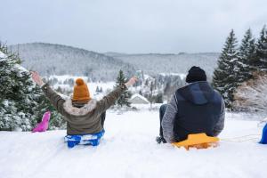 Chalets Chalet : Secteur Gerardmer. : photos des chambres