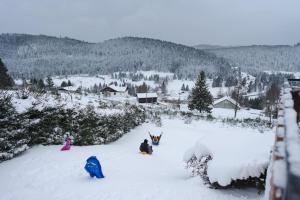 Chalets Chalet : Secteur Gerardmer. : photos des chambres