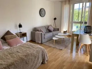 Studio 33 m2 , climatisé, parking extérieur privé gratuit - Montbolo