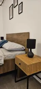 Central B Apartament Baia Mare - 索洛特维诺