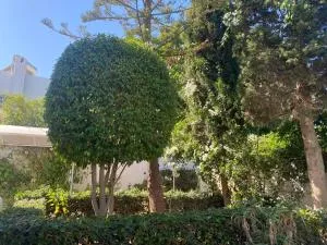 Le coin bleu - Kartágo