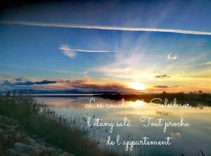 Escale au Sud, un appart les pieds dans l eau :)