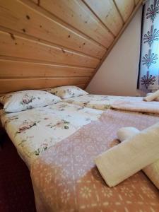 Apartament u Chowańców (blisko baseny termalne)