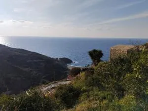 Virgin Beauty - Kouniádhoi