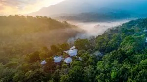 Vyna Hillock Resort and Spa - Vayittiri