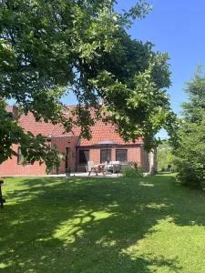 Urlaub an der Elbmündung - Straßdeich