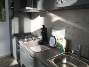 Forest-View Tiny House