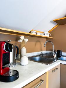 ComeCasa Mole Antonelliana view Terraced Attic