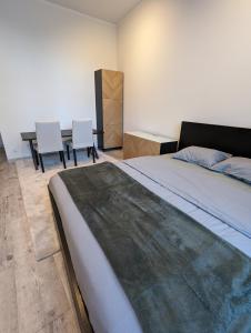 Apartament in Downtown of Krakow