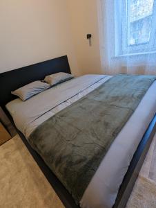 Apartament in Downtown of Krakow