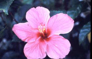 B&B / Chambres d'hotes Chambre grise : photos des chambres