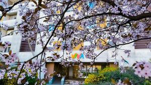 Studio Viva - Cosy Flat in Budapest - Free Parking