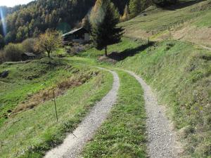 Grand Chalet du Mayen de Planraveire