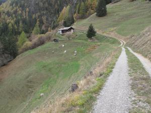 Grand Chalet du Mayen de Planraveire