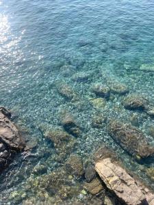 Fishermans house in the heart of Port Grimaud