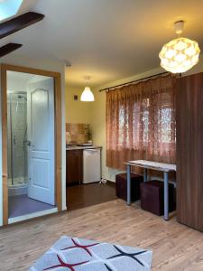 Studio room in Pensiunea Cold Mountains