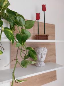 Lovely Apartment in the City Centre