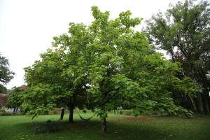 B&B / Chambres d'hotes La Forge de Malpas : Chambre Double - Vue sur Jardin