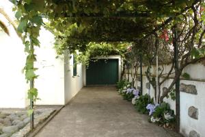 Mosteiros Vineyards House, Nature Praia&Sunset