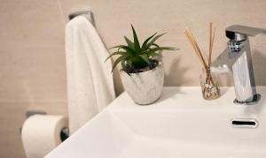 Apartamento Cotton Cruz Verde