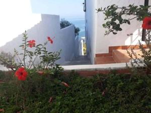 Villa The View