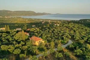 The Yellow House Kamaria - 迈索尼