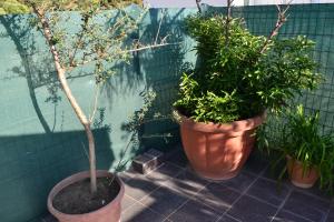 Seaview Penthouse Terrace & Private Garage