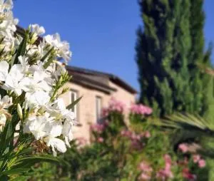 Gîte de la Plaine - 伊泽尔省鲁西永