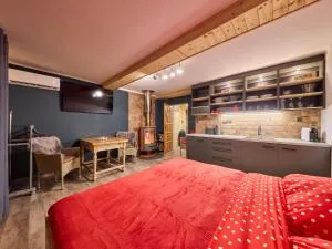 Studio Lesní plovárna by Interhome - 姆拉代布基