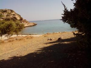 Drakano Rooms Ikaria Greece
