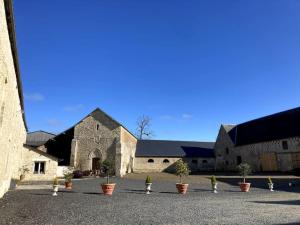 Maisons de vacances Domaine Des Hetres : photos des chambres