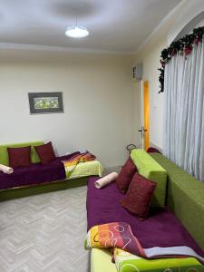 Cozy apartment in the center of Novi Sad!