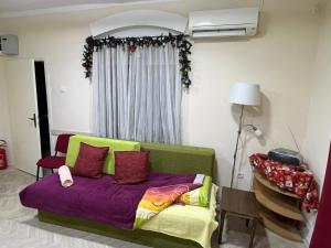 Cozy apartment in the center of Novi Sad!