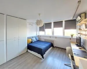 Cozy studio apartment - Tošin Bunar