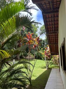 Casa de campo ( fazenda de cacau )