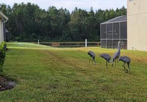 UniDisL 3Br3B near Disney quiet resort community, pool, private hot tub, BBQ & games