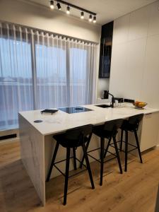 Artisa Riia Str 22 Luxury Penthouse Apartment