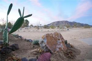 Joshua Tree Modern Cabin- Goat Mountain Rising