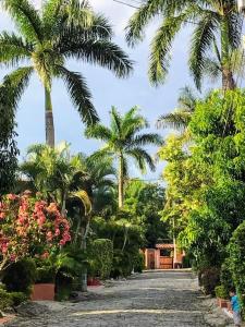 Villa Luz