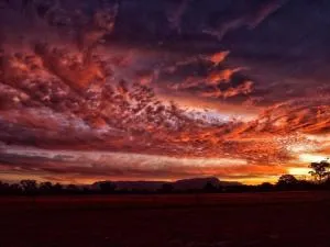 Tiny House 16A at Grampians Edge - Rupanyup