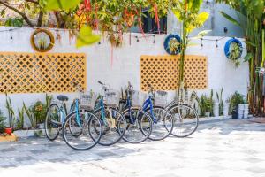 Oleander Garden Homestay