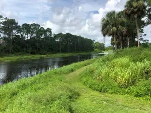 Great escape - 棕榈湾