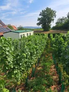 Mobilheim Žabčice - Židlochovice