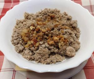 PLANINSKA KOČA NA GOZDU